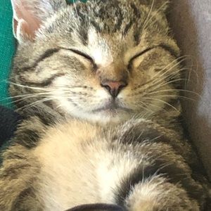 Meet your Posher, Mary jo